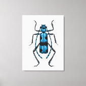 Rosalia Alpina beetle Canvas Afdruk (Voorkant)
