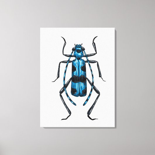Rosalia Alpina beetle Canvas Afdruk (Voorkant)