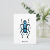 Rosalia Alpina kever Briefkaart (Staand voorkant)