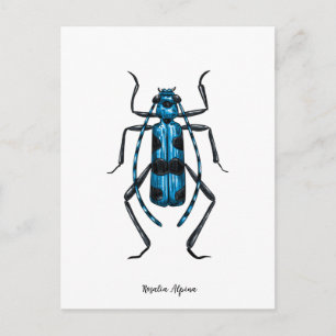 Rosalia Alpina kever Briefkaart