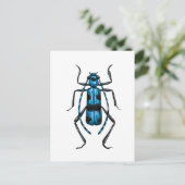 Rosalia Alpina kever Briefkaart (Staand voorkant)