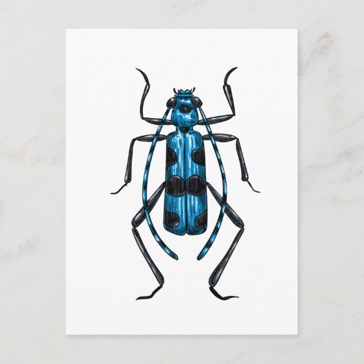 Rosalia Alpina kever Briefkaart (Voorkant)