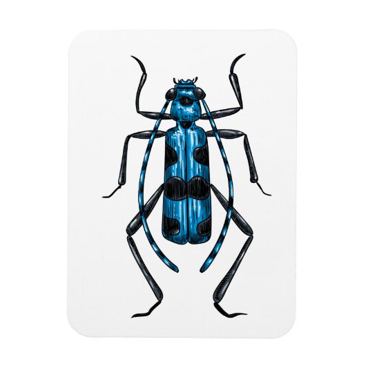 Rosalia Alpina kever Magneet (Verticaal)