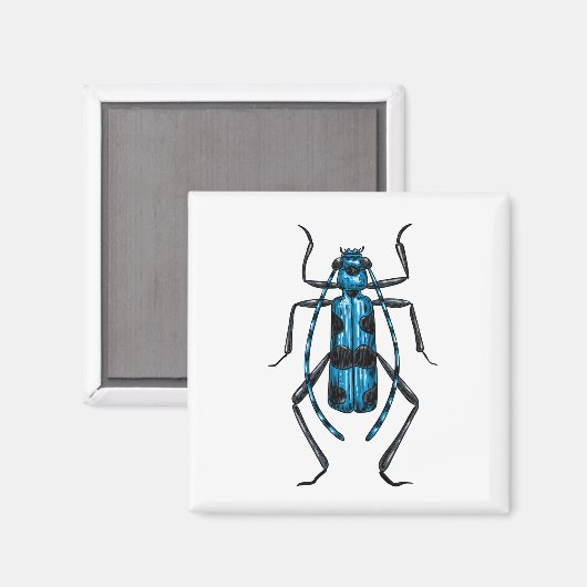 Rosalia Alpina kever Magneet (Voorkant / Achterkant)