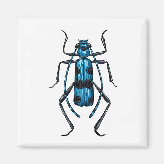 Rosalia Alpina kever Magneet (Voorkant)