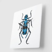 Rosalia Alpina kever Vierkante Klok (Hoek)