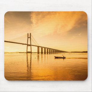 Rosario Victoria Bridge Muismat