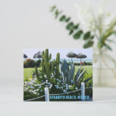 Rosarito Beach, Mexico (Cactussen) Briefkaart (Staand voorkant)