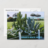 Rosarito Beach, Mexico (Cactussen) Briefkaart (Voorkant / Achterkant)