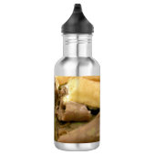 Rosbief sandwich met romige geitenkaas waterfles (Rechts)