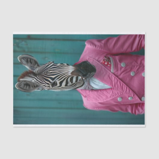 Roscoe de Zebra Tissuepapier (Voorkant)