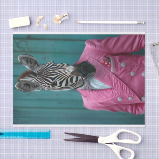 Roscoe de Zebra Tissuepapier (Craft)