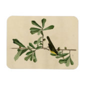 Roscoe's gele keel, Amerikaanse vogels Magneet (Horizontaal)