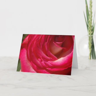 Rose10 Kaart