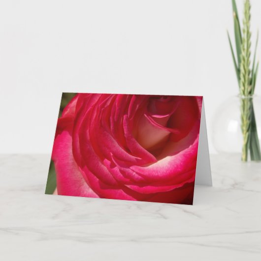 Rose10 Kaart (Voorkant)