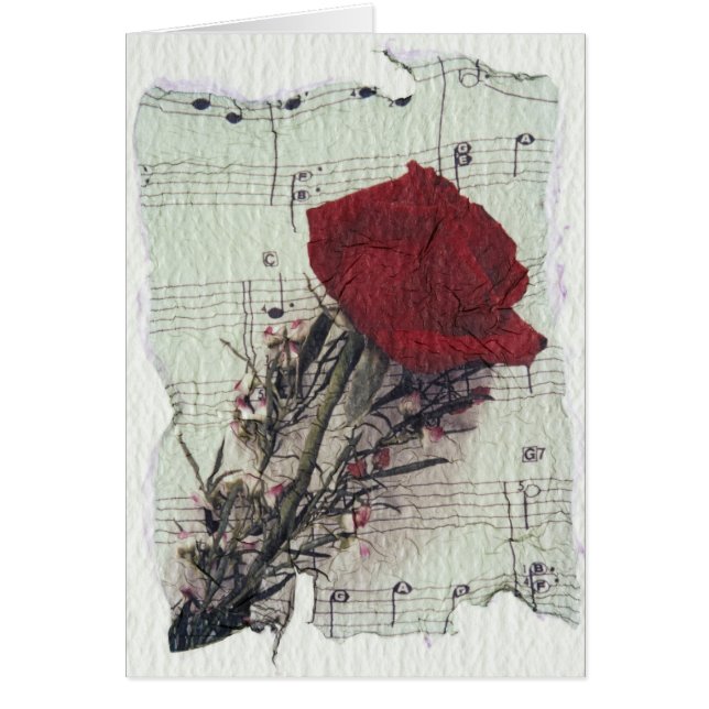 <Rose and Music>van Kim Koza 2 (Voorkant)