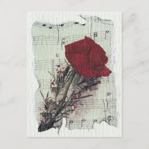 <Rose and Music>van Kim Koza 2 Briefkaart