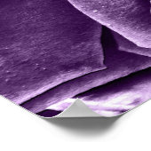 Rose Bouquet in Paars Poster (Hoek)