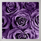 Rose Bouquet in Paars Poster (Voorkant)
