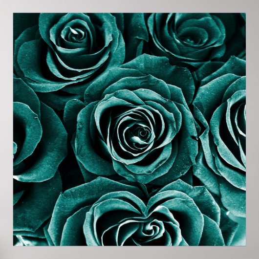 Rose Bouquet in Turquoise Poster (Voorkant)