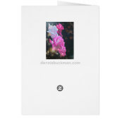 Rose Bouquet-kaarten (Achterkant)