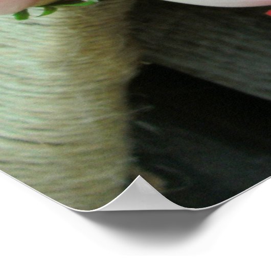 Rose Bouquet | Rustisch Poster van Barn Wood (Hoek)