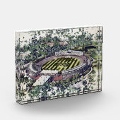 Rose Bowl Southampton Cricket Ground Artistic Fotoblokken (Links)