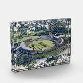 Rose Bowl Southampton Cricket Ground Artistic Fotoblokken (Links)