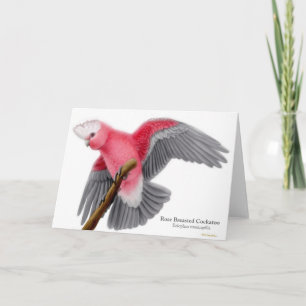 Rose Breasted Cockatoo Greeting Card Kaart