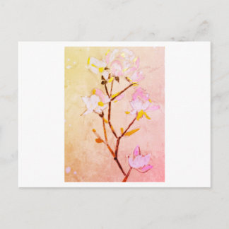 Rose Briefkaart