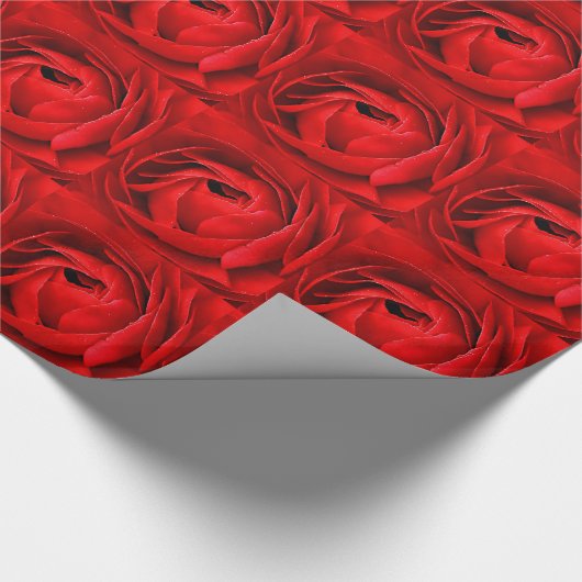 ROSE CADEAUPAPIER (Hoek)