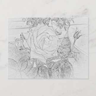 Rose Coloring Sheet Postcard Briefkaart
