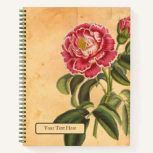 Rose de Provence Spiraalschriftboek Notitieboek