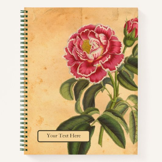Rose de Provence Spiraalschriftboek Notitieboek (Voorkant)