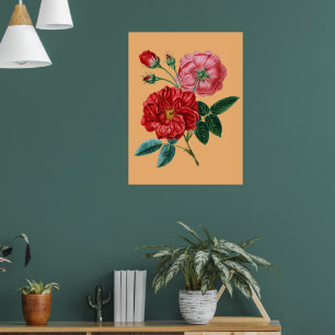 Rose De Provins vintage bloemen Huis decor cadeaus Poster