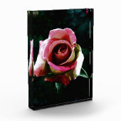 rose fotoblokken (Links)