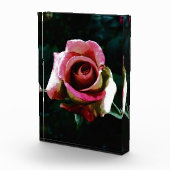rose fotoblokken (Rechts)