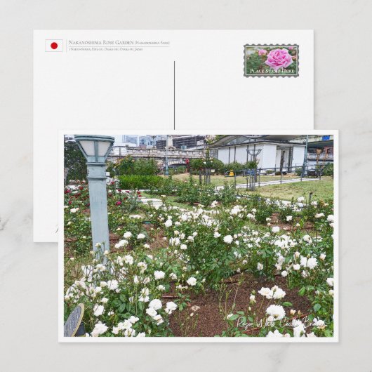 Rose Garden Briefkaart (Voorkant / Achterkant)