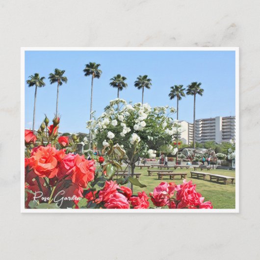 Rose Garden Briefkaart (Voorkant)