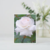 Rose Garden Briefkaart (Staand voorkant)