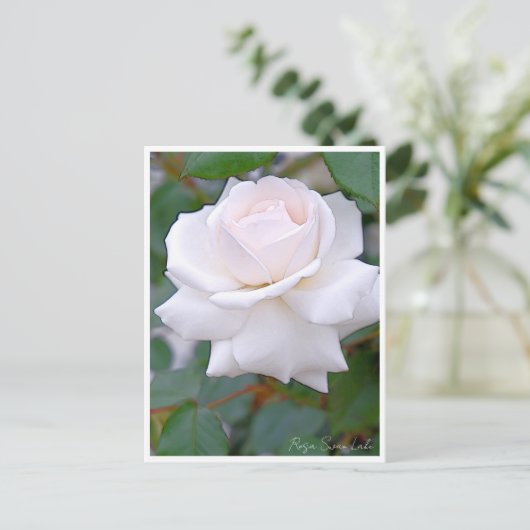 Rose Garden Briefkaart (Staand voorkant)