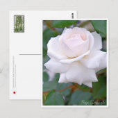 Rose Garden Briefkaart (Voorkant / Achterkant)