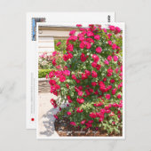 Rose Garden Briefkaart (Voorkant / Achterkant)