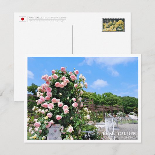 Rose Garden Briefkaart (Voorkant / Achterkant)