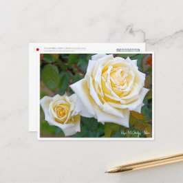 Rose Garden Briefkaart