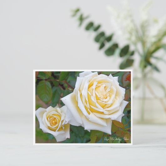 Rose Garden Briefkaart (Staand voorkant)