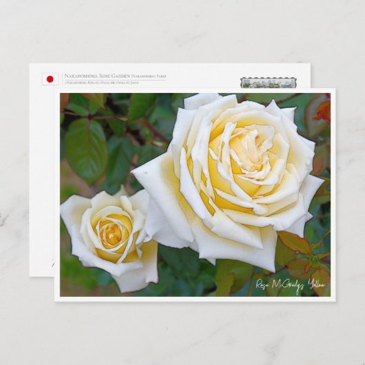 Rose Garden Briefkaart (Voorkant / Achterkant)