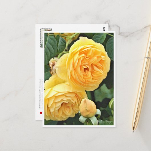 Rose Garden Briefkaart (Voorkant / Achterkant in situ)