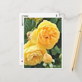 Rose Garden Briefkaart