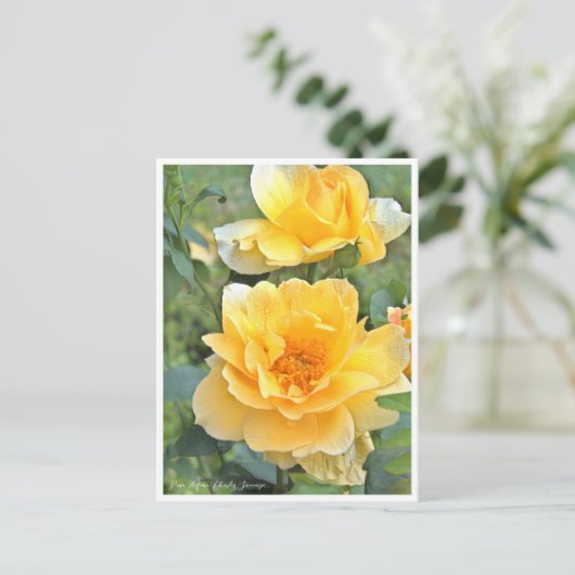 Rose Garden Briefkaart (Staand voorkant)